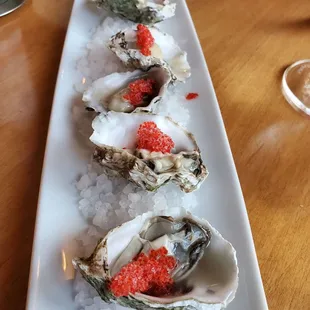Oysters