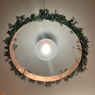 a circular light fixture with plants