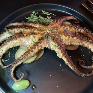 Grilled octopus
