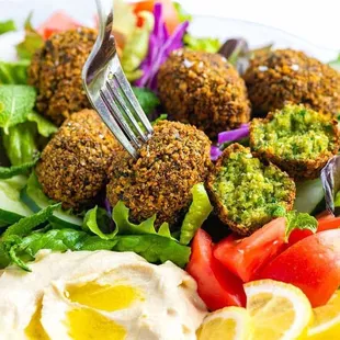 Falafel Entree