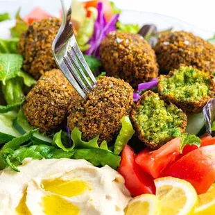 Falafel Entree