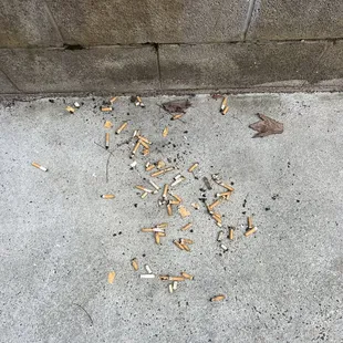 Pile of cigarettes doesn&apos;t look like a wind blown accident. Definitely looks dumped over my fence.