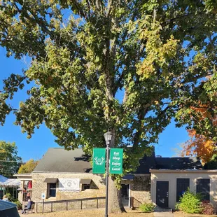 a green street sign on a pole