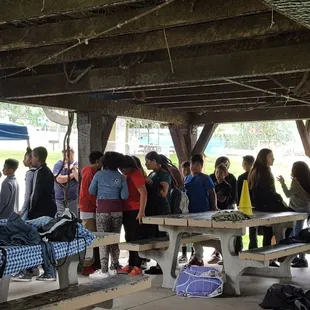 Kids lining up waiting for tacos