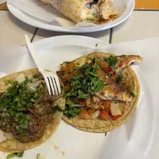 Fish taco and Beef Barbacoa Burrito &amp; chorizo Brito