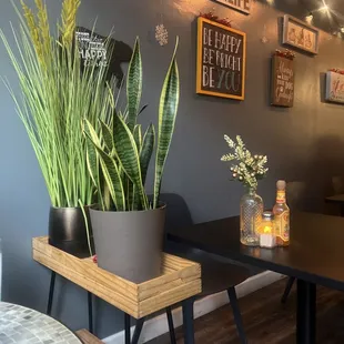 ramen and noodles, interior