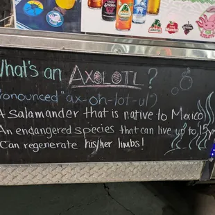 What's an Axolotl?