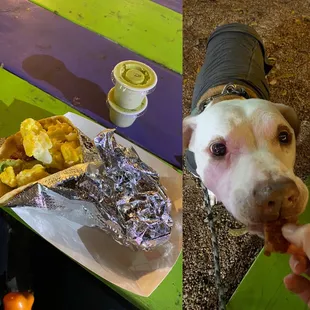 Bacon, egg, cheese, avocado breakfast taco + extra bacon on the side for the pup