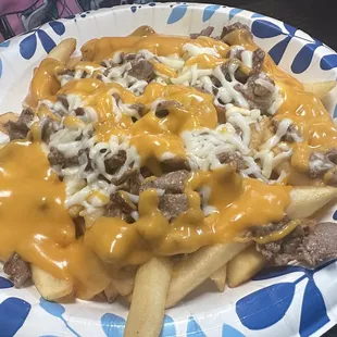 Carne asada fries