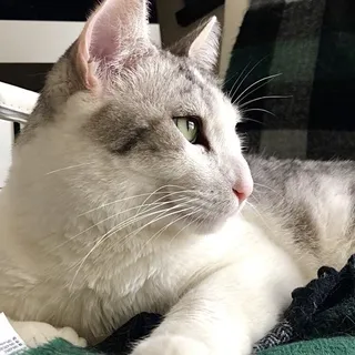 Chloe S.
