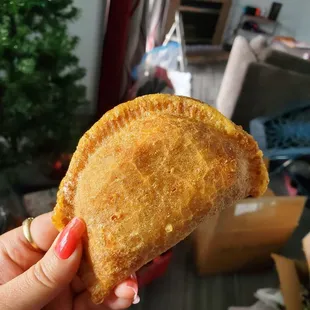 Chicken Empanada