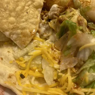 Wife found a bug in her taco.