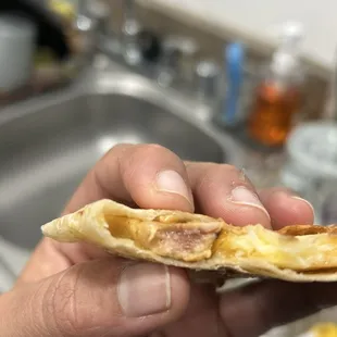 Chicken Quesadilla , raw chicken.