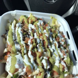 Asada fries with everything