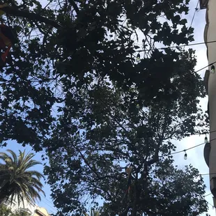 View from outside seating area