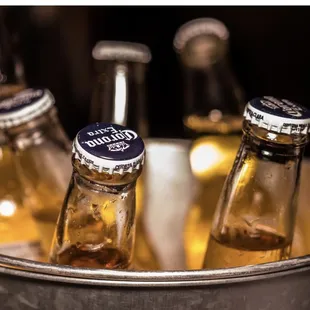 Beer Bucket special pricing