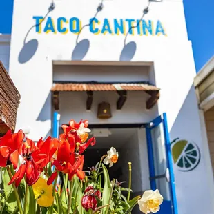the entrance to a taco cantina restaurant