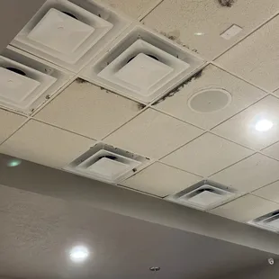 Moldy ceiling tiles above dining area