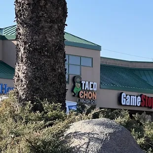 a taco chon store and a palm tree