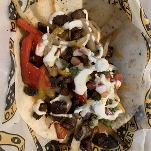 Steak fajita taco