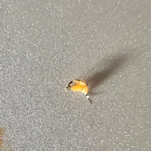 Weird plastic found in one of our tacos.
