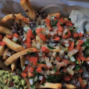 Carne Asada fries