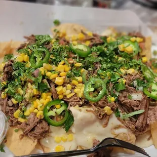 Birria nachos