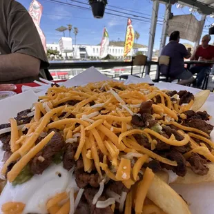 Carne Asada Fries