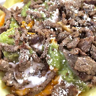 carne asada fries