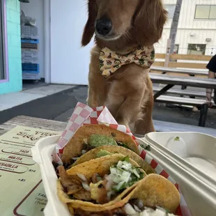 tacos, food