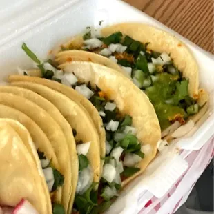 chicken Pollo Taco