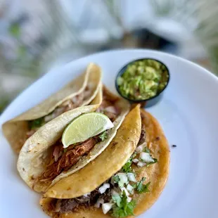 Taco Margarita