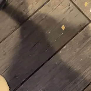 THEY GOT FRIENDLY ROACHES CRAWLING AROUND ... if you want a roach to crawl on you this the place for you