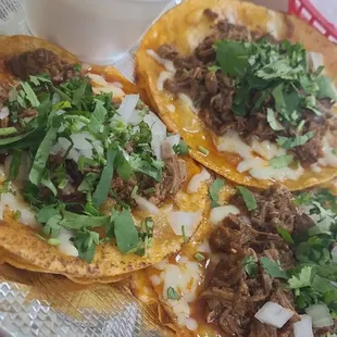 Biarra tacos with cheese