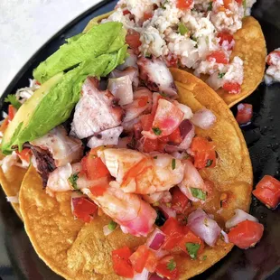 Ceviche tostaditas