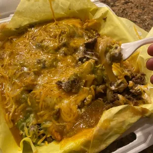 Smothered Carne asada fries