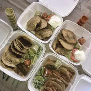 6 barbacoa gorditas, 6 barbacoa tacos, 6 chicken tacos