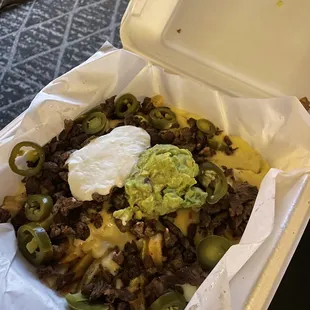 Asada fries