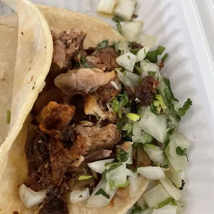 Carnitas taco -- tasteless