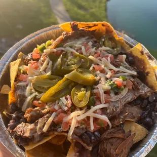 Taco Queen