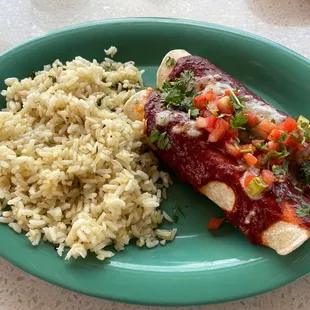 chicken enchilada with rice