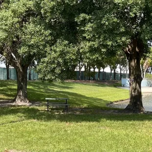 a park with a lake and trees