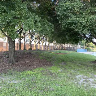 Hammock by the water and music.