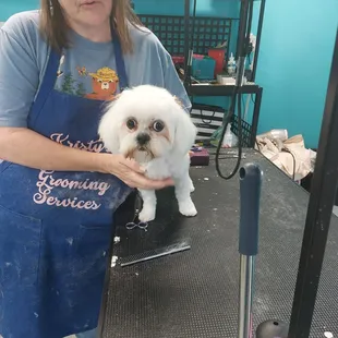 This cutie has an awesome n sweet personality