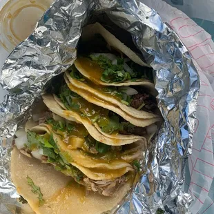 Barbacoa and Carnitas Tacos