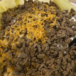 Carne asada fries