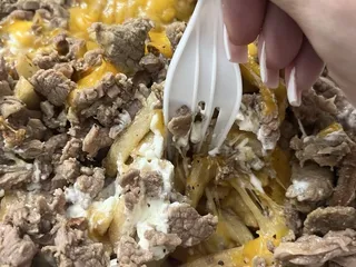 Taco Star