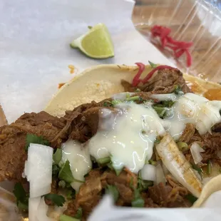 Taco birria