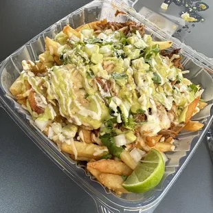 Birria fries