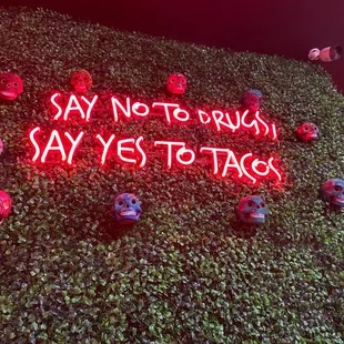 Do Tacos...NOT drugs!